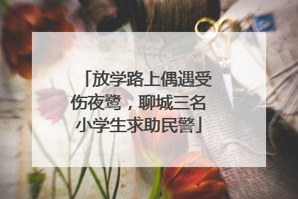 放学路上偶遇受伤夜鹭，聊城三名小学生求助民警