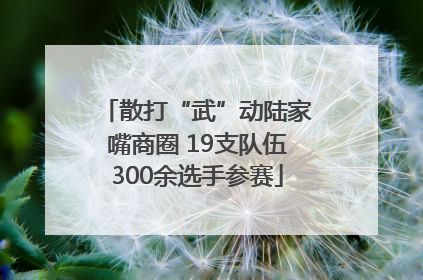 散打“武”动陆家嘴商圈 19支队伍300余选手参赛