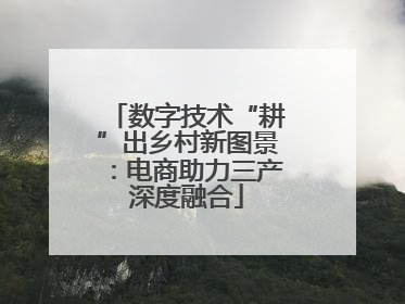 数字技术“耕”出乡村新图景：电商助力三产深度融合