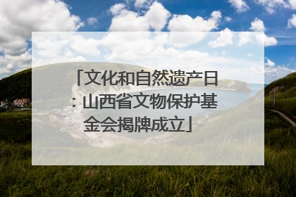 文化和自然遗产日：山西省文物保护基金会揭牌成立