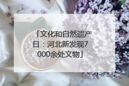 文化和自然遗产日：河北新发现7000余处文物