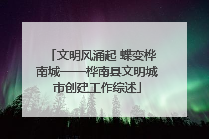 文明风涌起 蝶变桦南城——桦南县文明城市创建工作综述