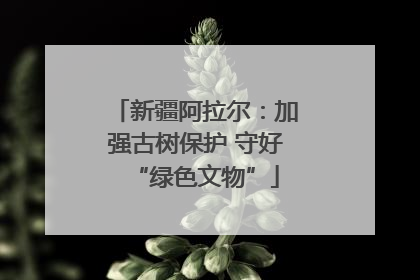 新疆阿拉尔：加强古树保护 守好“绿色文物”