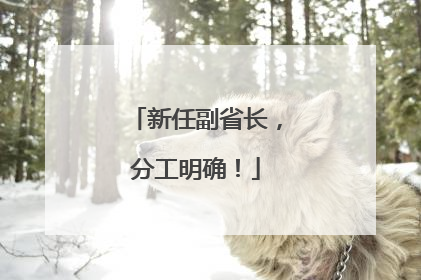 新任副省长，分工明确！