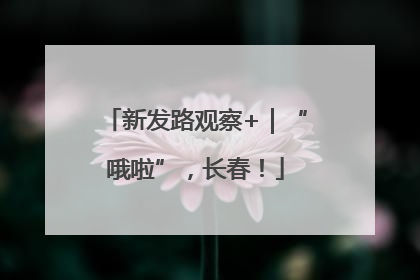 新发路观察+｜“哦啦”，长春！
