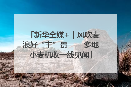 新华全媒+｜风吹麦浪好“丰”景——多地小麦机收一线见闻