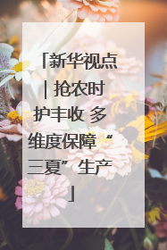 新华视点｜抢农时 护丰收 多维度保障“三夏”生产