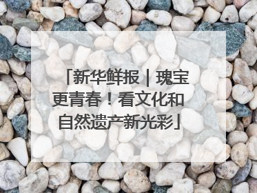 新华鲜报｜瑰宝更青春！看文化和自然遗产新光彩