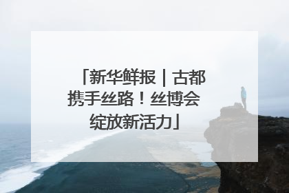 新华鲜报｜古都携手丝路！丝博会绽放新活力