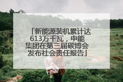 新能源装机累计达613万千瓦，申能集团在第三届碳博会发布社会责任报告