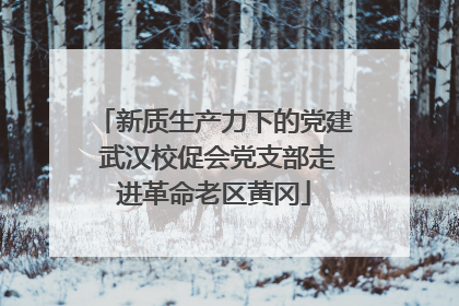 新质生产力下的党建 武汉校促会党支部走进革命老区黄冈