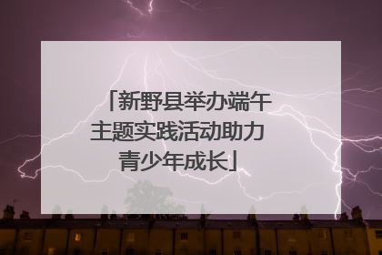 新野县举办端午主题实践活动助力青少年成长