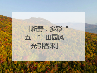 新野：多彩“五一” 田园风光引客来