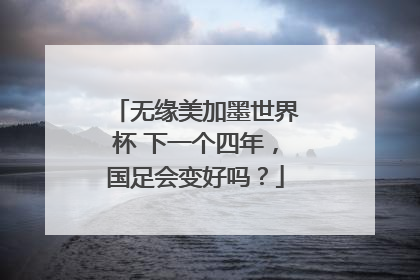 无缘美加墨世界杯 下一个四年，国足会变好吗？