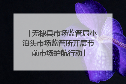 无棣县市场监管局小泊头市场监管所开展节前市场护航行动