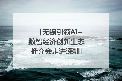 无锡引领AI+数智经济创新生态推介会走进深圳