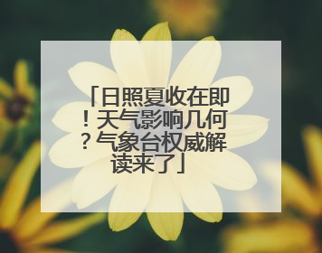 日照夏收在即！天气影响几何？气象台权威解读来了