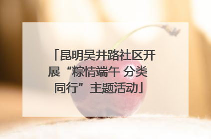 昆明吴井路社区开展“粽情端午 分类同行”主题活动