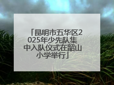 昆明市五华区2025年少先队集中入队仪式在韶山小学举行