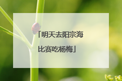 明天去阳宗海比赛吃杨梅