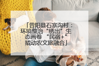 昔阳县石寨沟村：环境整治“绣出”生态画卷 “民宿+”撬动农文旅融合