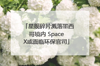 星舰碎片溅落墨西哥境内 SpaceX或面临环保官司