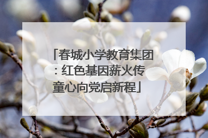 春城小学教育集团：红色基因薪火传 童心向党启新程