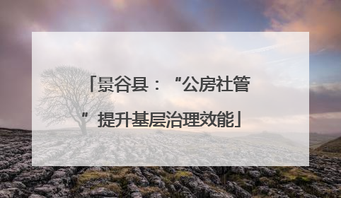 景谷县：“公房社管”提升基层治理效能