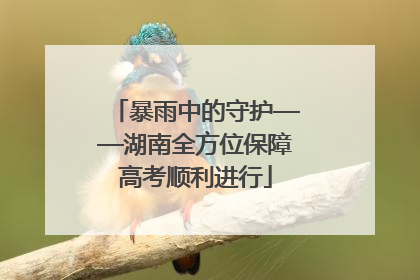暴雨中的守护——湖南全方位保障高考顺利进行