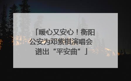 暖心又安心！衡阳公安为邓紫棋演唱会谱出“平安曲”