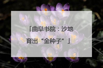 曲阜书院：沙地育出“金种子”