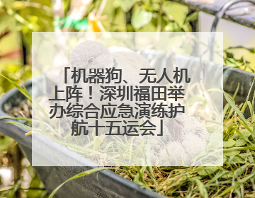机器狗、无人机上阵！深圳福田举办综合应急演练护航十五运会