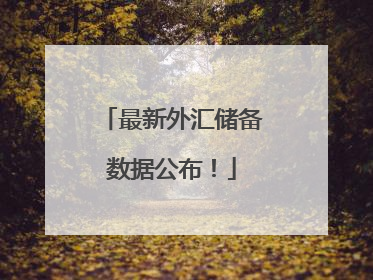 最新外汇储备数据公布！