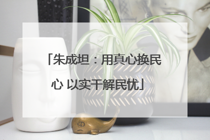 朱成坦：用真心换民心 以实干解民忧