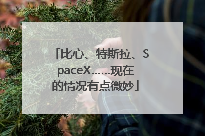 比心、特斯拉、SpaceX……现在的情况有点微妙