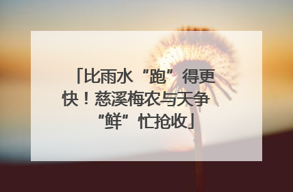 比雨水“跑”得更快！慈溪梅农与天争“鲜”忙抢收