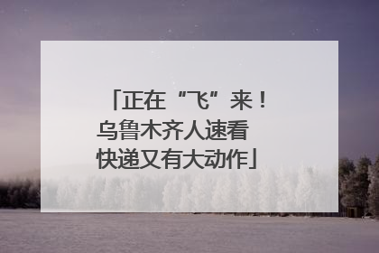 正在“飞”来！乌鲁木齐人速看 快递又有大动作