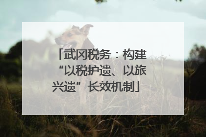 武冈税务：构建“以税护遗、以旅兴遗”长效机制