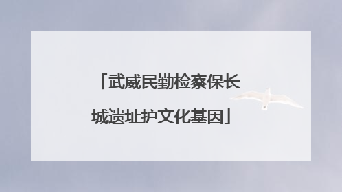 武威民勤检察保长城遗址护文化基因