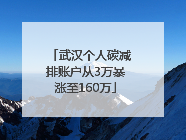 武汉个人碳减排账户从3万暴涨至160万