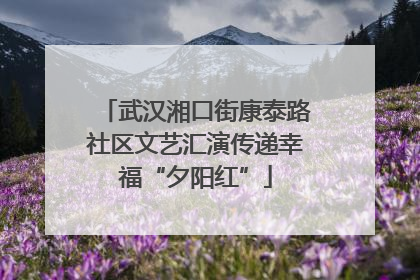 武汉湘口街康泰路社区文艺汇演传递幸福“夕阳红”
