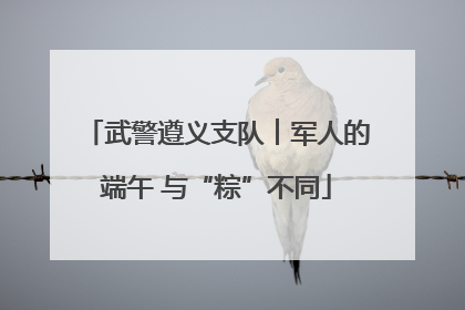 武警遵义支队︱军人的端午 与“粽”不同