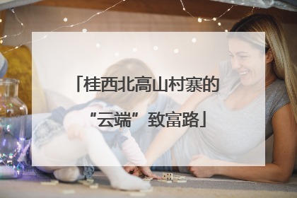 桂西北高山村寨的“云端”致富路