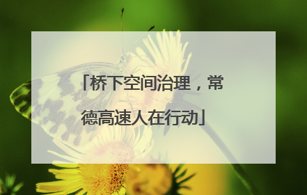 桥下空间治理，常德高速人在行动