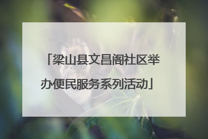 梁山县文昌阁社区举办便民服务系列活动