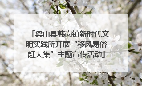 梁山县韩岗镇新时代文明实践所开展“移风易俗赶大集”主题宣传活动