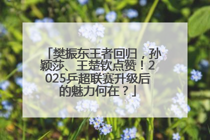 樊振东王者回归，孙颖莎、王楚钦点赞！2025乒超联赛升级后的魅力何在？