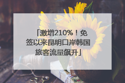 激增210%！免签以来昆明口岸韩国旅客流量飙升