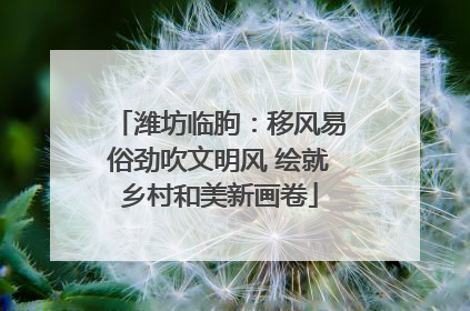 潍坊临朐：移风易俗劲吹文明风 绘就乡村和美新画卷