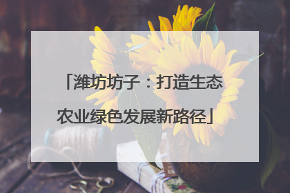 潍坊坊子：打造生态农业绿色发展新路径